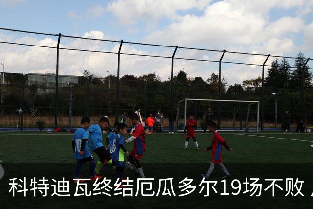 科特迪瓦终结厄瓜多尔19场不败 用韧性拿到世界杯开门红