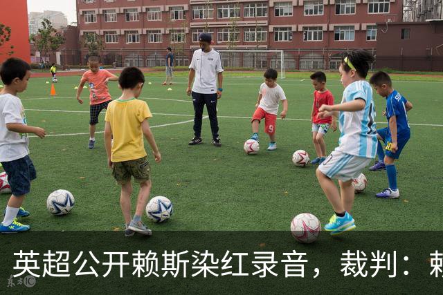 英超公开赖斯染红录音，裁判：赖斯你让我很难做
