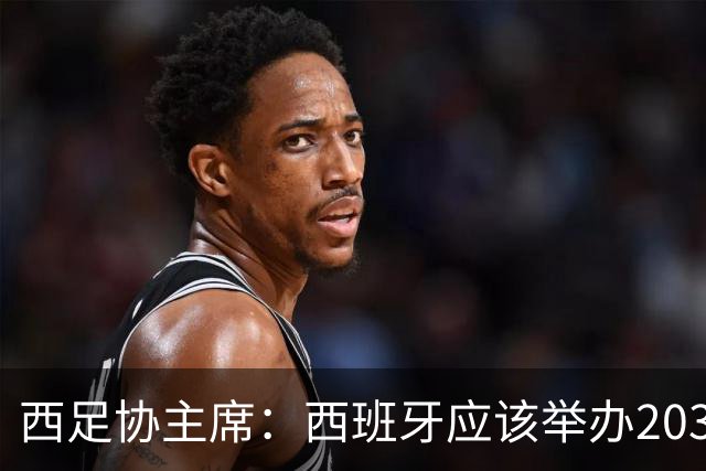 西足协主席：西班牙应该举办2030世界杯决赛，我们各方面条件最优