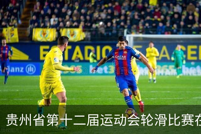 贵州省第十二届运动会轮滑比赛在瓮安盛大开幕