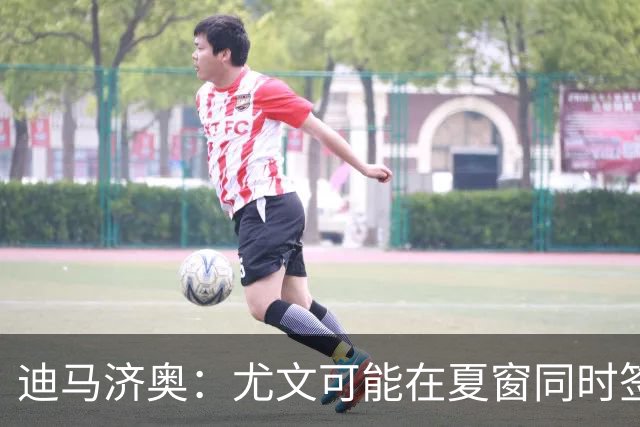 迪马济奥：尤文可能在夏窗同时签下卢库米和穆哈雷莫维奇