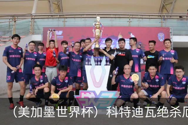 （美加墨世界杯）科特迪瓦绝杀厄瓜多尔 瑞典5:1大胜突尼斯